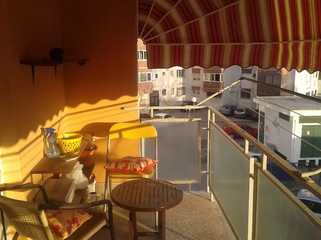 Apartment Sendy Zadar Croatia